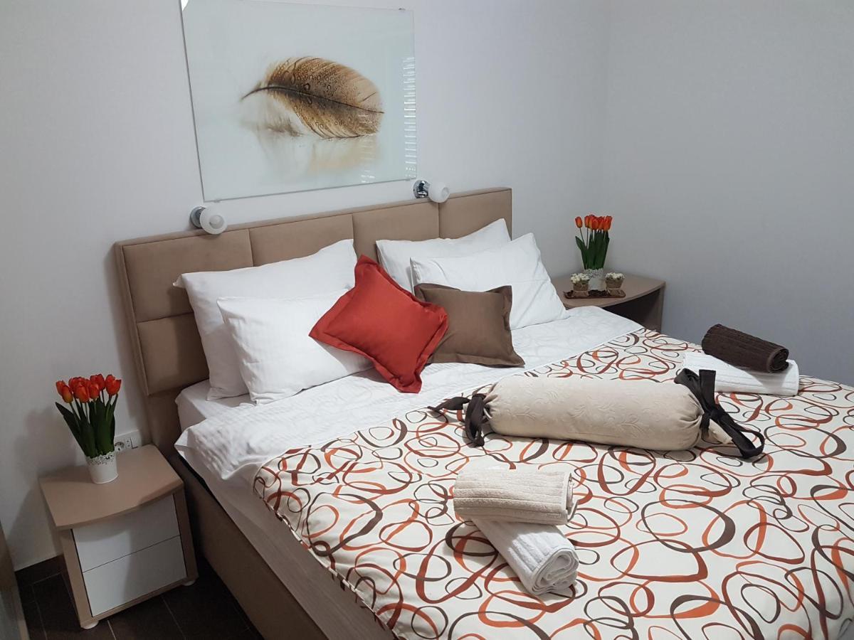 Apartment Funny 科托尔 外观 照片