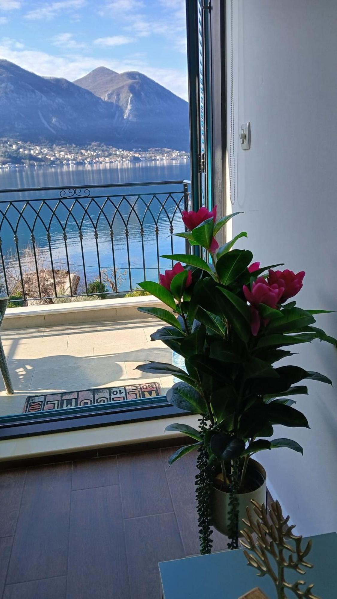 Apartment Funny 科托尔 外观 照片
