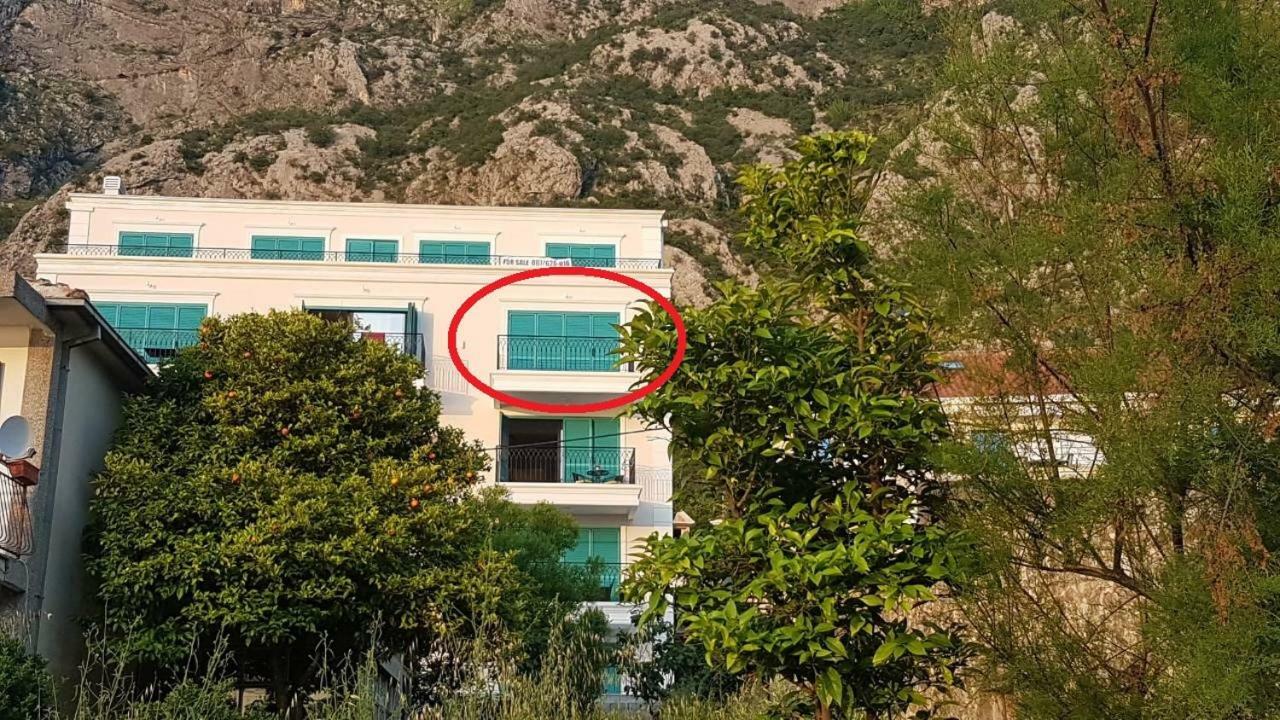 Apartment Funny 科托尔 外观 照片